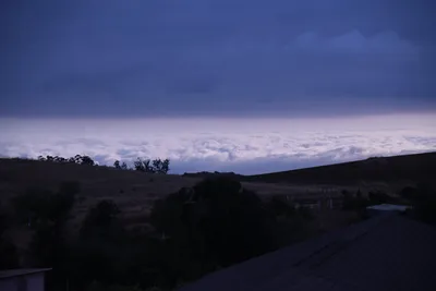 DSC_1239 (Large).JPG